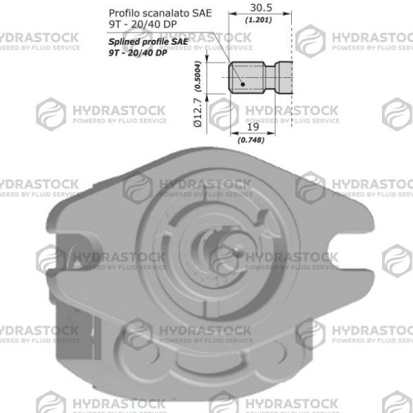 POMPE 1SP FLANGIA SAE AA - ALBERO 9 T