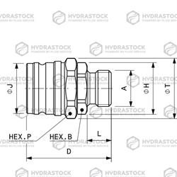 STUCCHI FRENATURA M IFR8 1/2 BSP EST