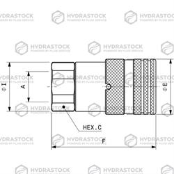 STUCCHI F FL9 1/2 BSP (INOX)