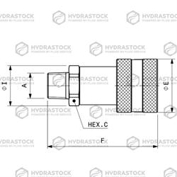 STUCCHI F IV38HP NPT EST M (700 BAR)