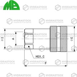 AF 10-08 MB FEMMINA 1/2 BSP ISO A T.VALV.