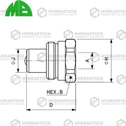 JM 25-06 MB MASCHIO 3/8 NPT (700 BAR)