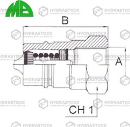 MB MASCHIO 1/4 BSP MS 14 TV