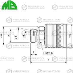 MB FEMMINA DT10 M16x1,5 PF11-10L