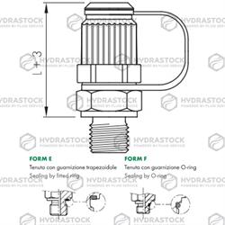 MINIPRESA PRESSIONE PLAST. G3/8 (E)